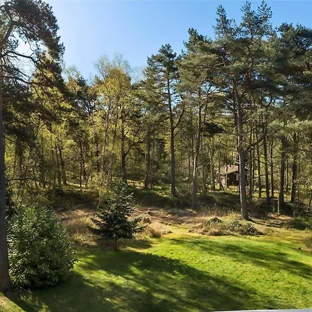 בית נופש 2305-stege-thujavej-2 סטגה