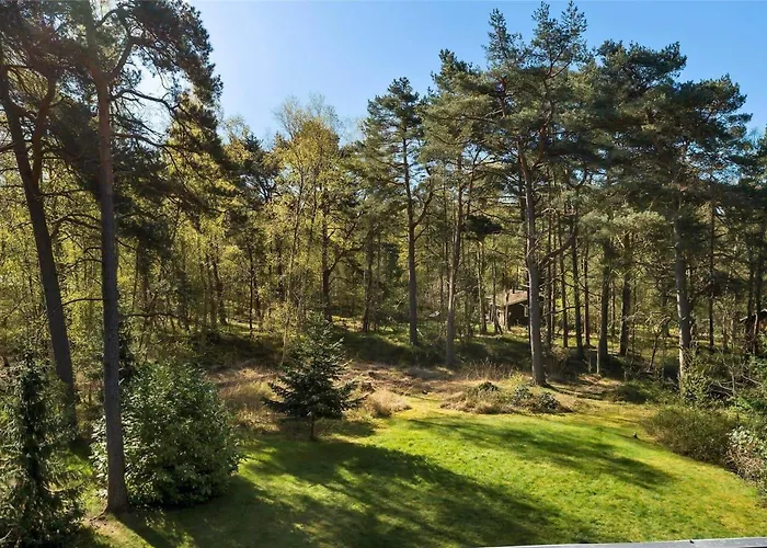 2305-stege-thujavej-2 *